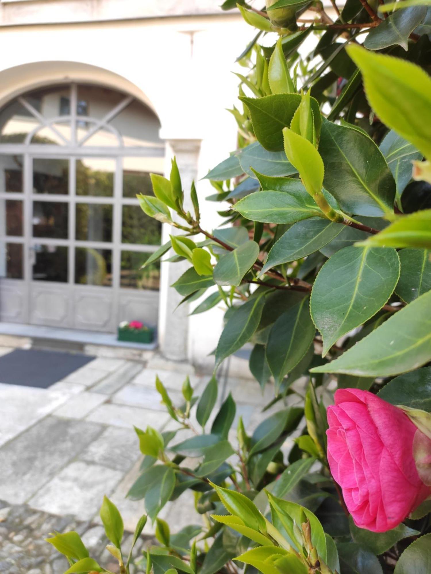 Casa Cannobio Extérieur photo